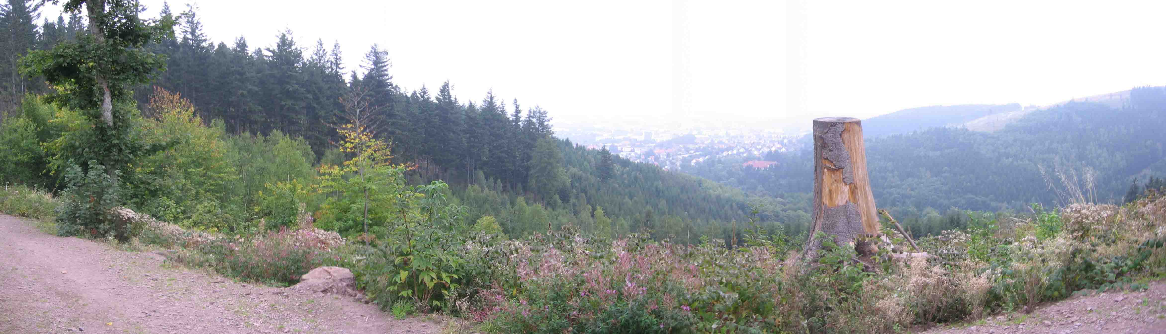 Вид с горы Кикельхан